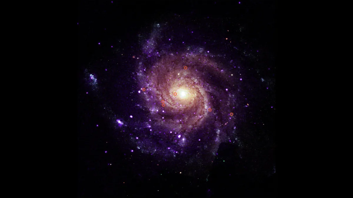 The spiral galaxy M101 in a purple and gold telescope-data composite, with seven small red circles marking hypersoft X-ray sources.